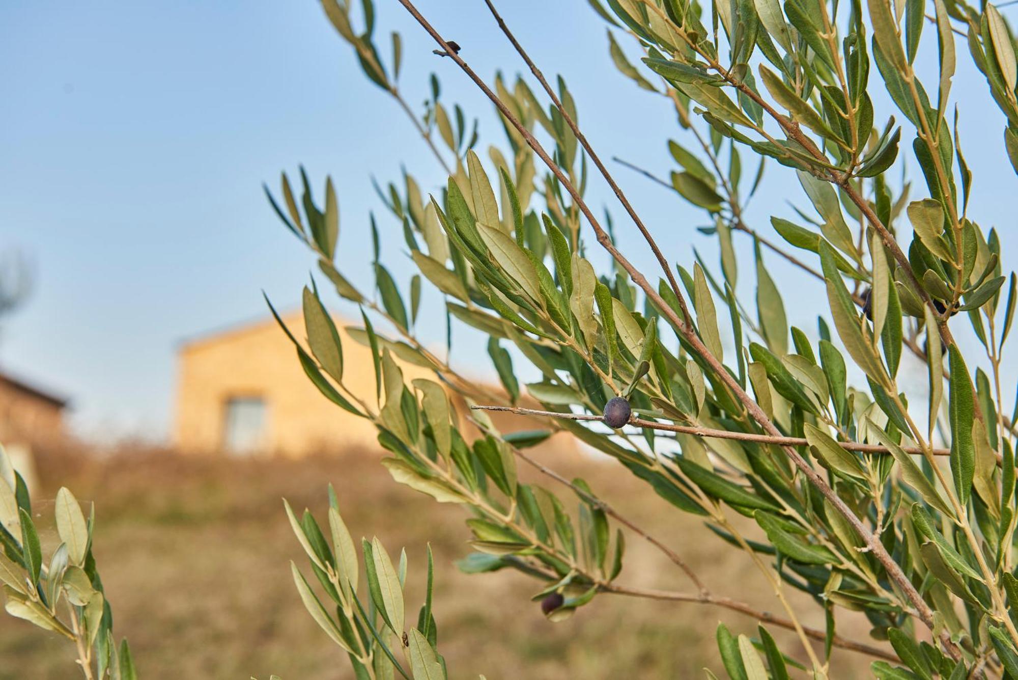 Agriturismo Prato Del Re Prignano sulla Secchia Kültér fotó
