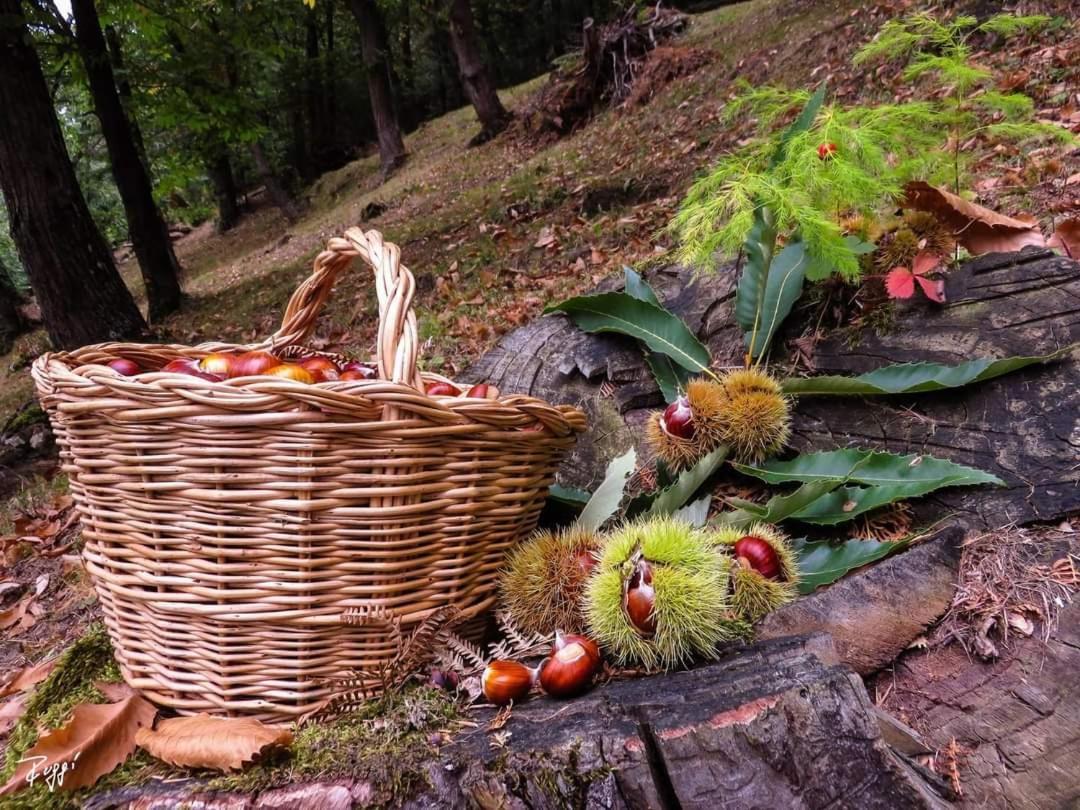 Agriturismo Prato Del Re Prignano sulla Secchia Kültér fotó