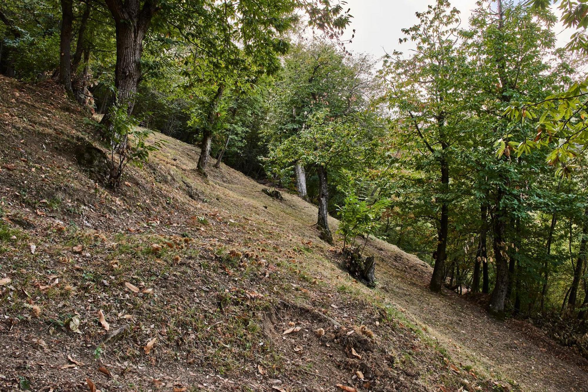 Agriturismo Prato Del Re Prignano sulla Secchia Kültér fotó